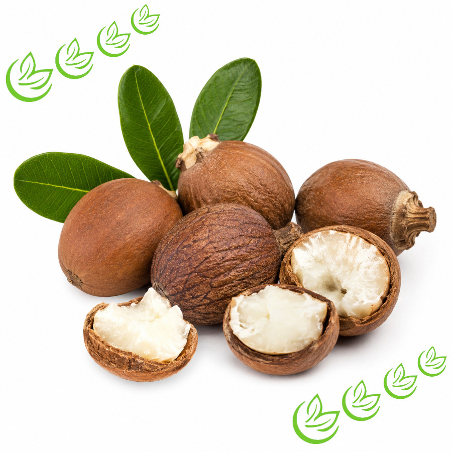 Sheabutter Nilotica